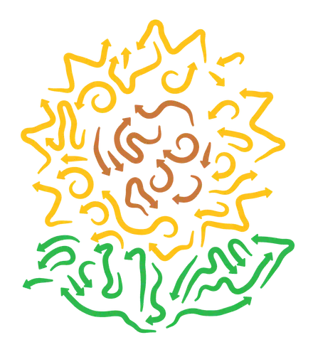 Sonnenblume