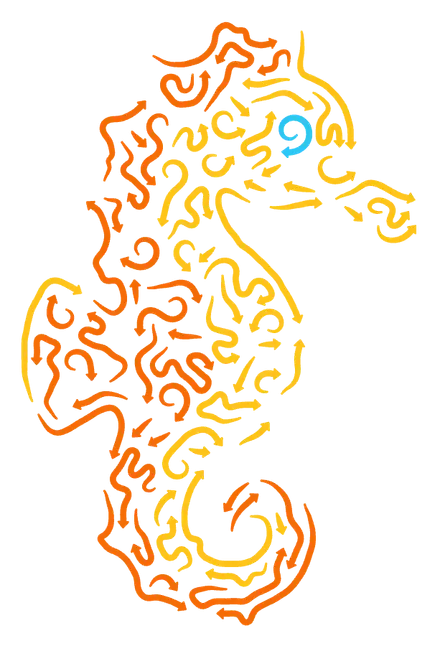 Seepferdchen